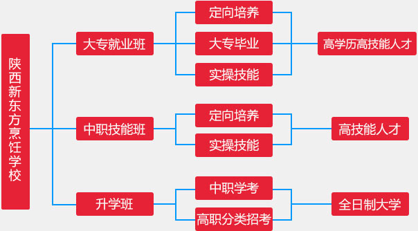 陕西新东方对口升学